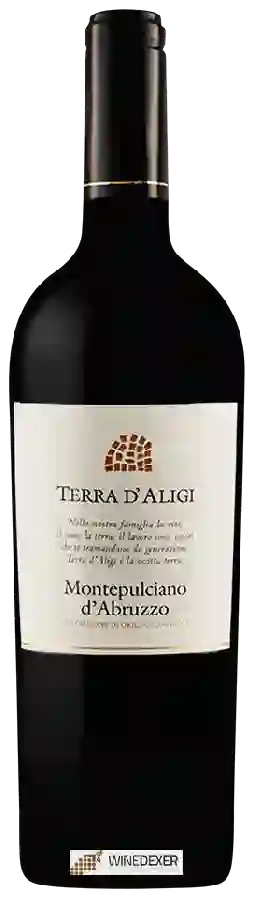 Winery Terra d'Aligi - Montepulciano d'Abruzzo Winery Terra d'Aligi - Montepulciano d'Abruzzo