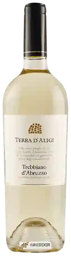 Winery Terra d'Aligi - Trebbiano d'Abruzzo Winery Terra d'Aligi - Trebbiano d'Abruzzo