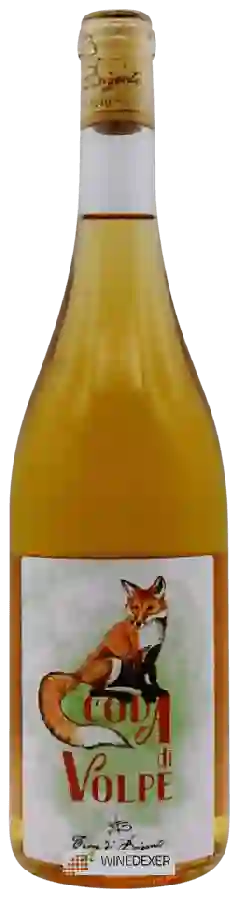 Winery Terra di Brigante - Coda di Volpe