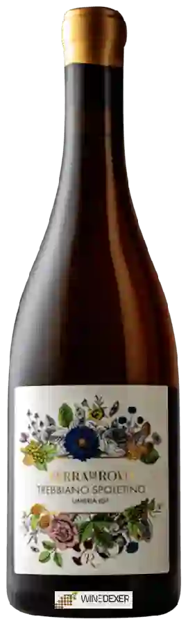 Winery Terra di Rovo - Trebbiano Spoletino Winery Terra di Rovo - Trebbiano Spoletino