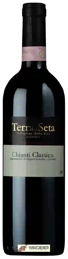 Winery Terra di Seta - Chianti Classico
