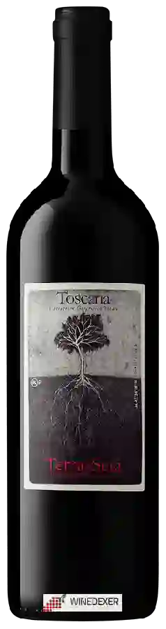Winery Terra di Seta - Rosso