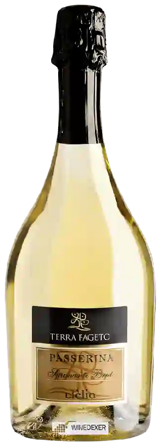 Winery Terra Fageto - Clélia Passerina Spumante Brut Winery Terra Fageto - Clélia Passerina Spumante Brut