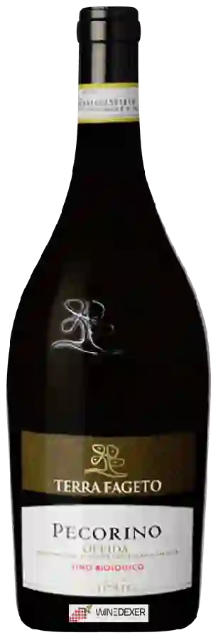 Winery Terra Fageto - Fenèsia Pecorino Winery Terra Fageto - Fenèsia Pecorino
