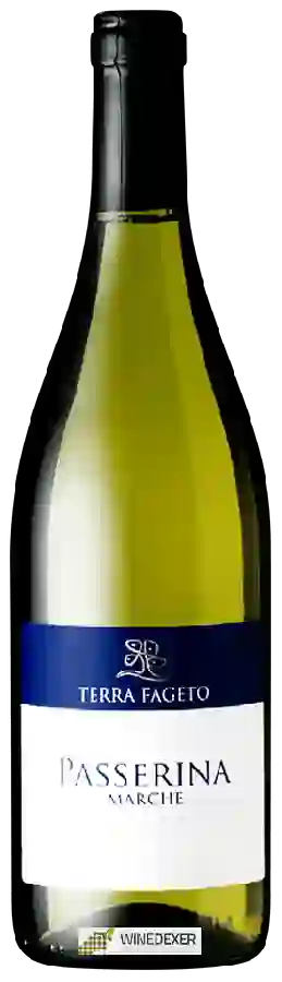 Winery Terra Fageto - Passerina Winery Terra Fageto - Passerina