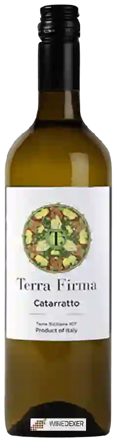 Winery Terra Firma - Catarratto Winery Terra Firma - Catarratto