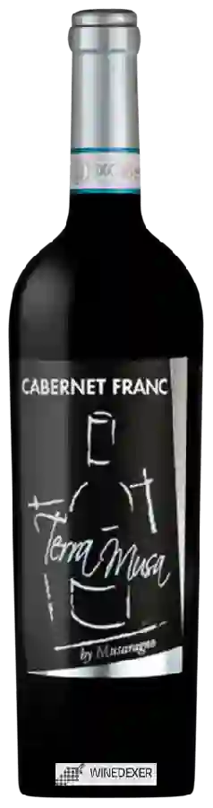 Winery Terra Musa - Cabernet Franc Winery Terra Musa - Cabernet Franc