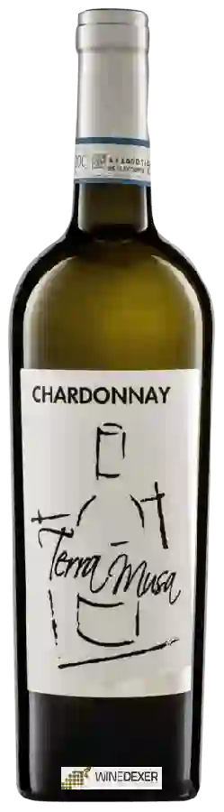 Winery Terra Musa - Chardonnay