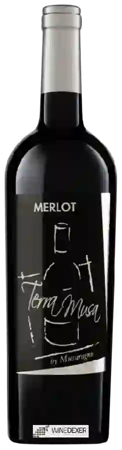 Winery Terra Musa - Merlot