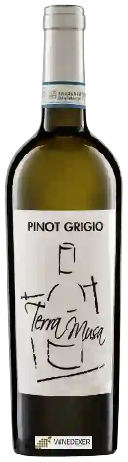 Winery Terra Musa - Pinot Grigio