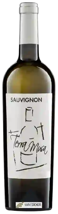 Winery Terra Musa - Sauvignon Winery Terra Musa - Sauvignon