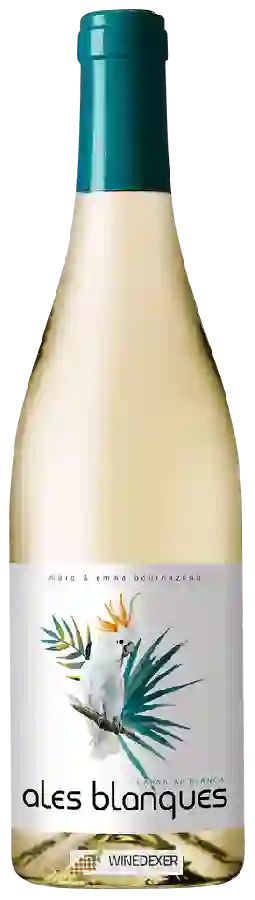 Winery Terra Remota - Ales Blanques