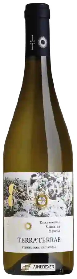 Winery Terra Terrae - White Blend