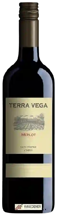 Winery Terra Vega - Merlot Winery Terra Vega - Merlot