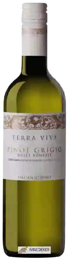Winery Terra Viva - Pinot Grigio delle Venezie