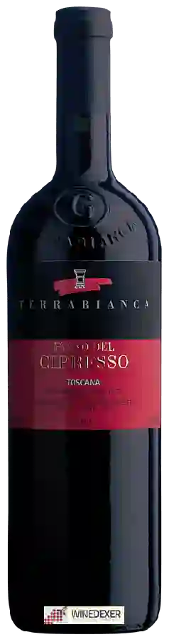 Winery Terrabianca - Piano del Cipresso