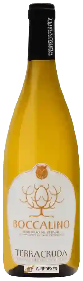 Winery Terracruda - Boccalino Bianchello del Metauro