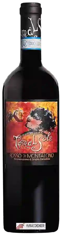 Winery Terralsole - Rosso di Montalcino Winery Terralsole - Rosso di Montalcino