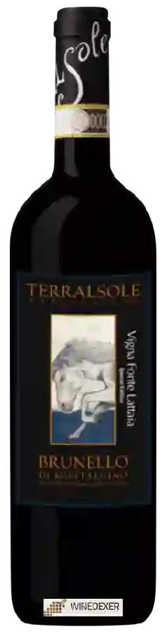 Winery Terralsole - Vigna Fonte Lattaia Brunello di Montalcino