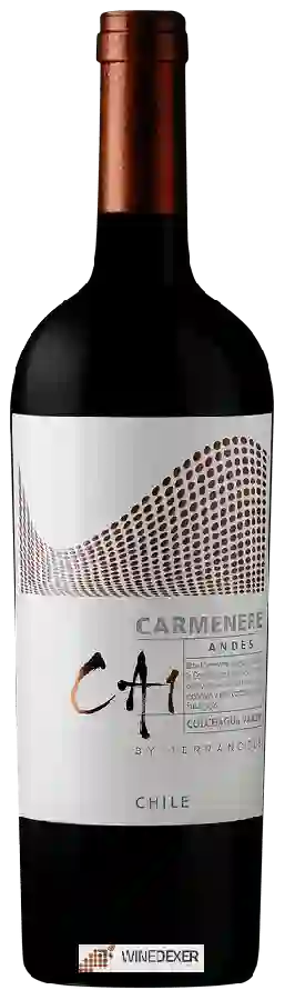 Winery TerraNoble - CA1 Andes Carmenère