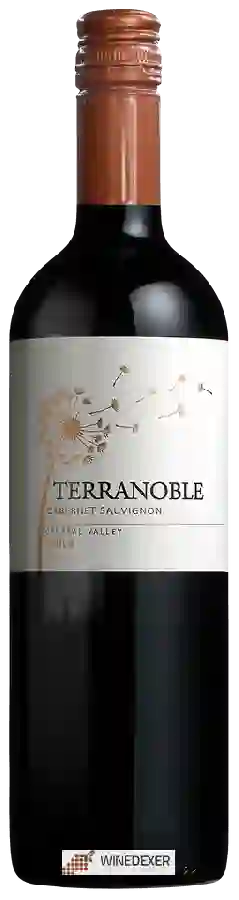 Winery TerraNoble - Cabernet Sauvignon