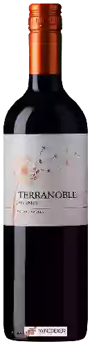 Winery TerraNoble - Carmenère