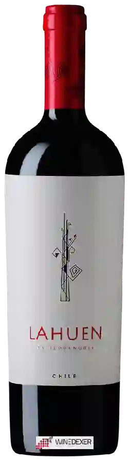 Winery TerraNoble - Lahuen Rojo