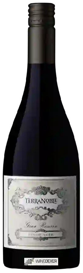 Winery TerraNoble - Las Dichas Gran Reserva Pinot Noir Winery TerraNoble - Las Dichas Gran Reserva Pinot Noir
