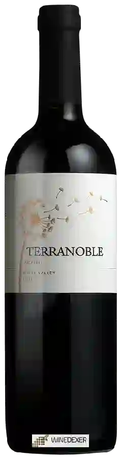 Winery TerraNoble - Merlot
