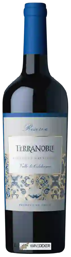 Winery TerraNoble - Reserva Cabernet Sauvignon