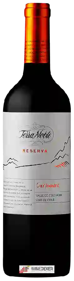 Winery TerraNoble - Reserva Carmen&egravere