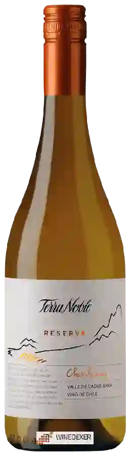 Winery TerraNoble - Reserva Chardonnay