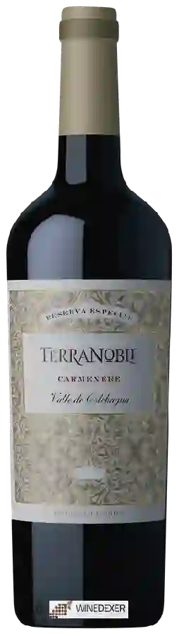 Winery TerraNoble - Reserva Especial Carménère