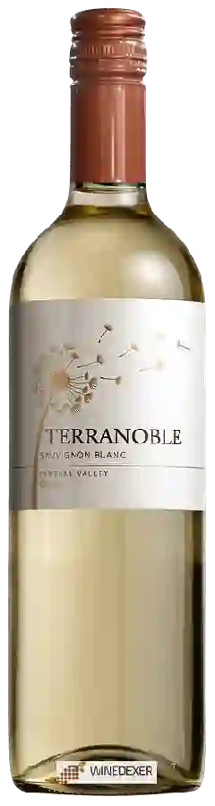 Winery TerraNoble - Sauvignon Blanc Winery TerraNoble - Sauvignon Blanc