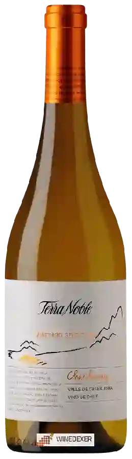 Winery TerraNoble - Vineyard Selection Chardonnay
