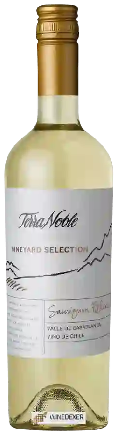 Winery TerraNoble - Vineyard Selection Sauvignon Blanc Winery TerraNoble - Vineyard Selection Sauvignon Blanc
