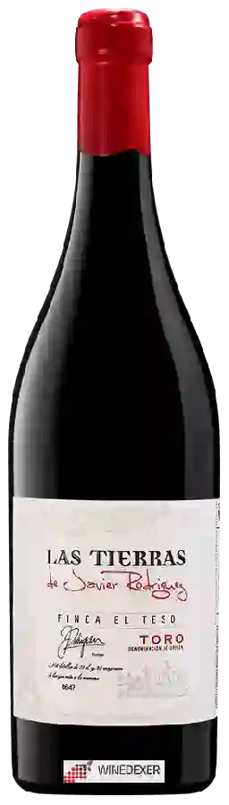 Winery Rodríguez Sanzo - Las Tierras de Javier Rodríguez Finca El Teso