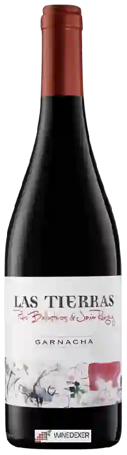Winery Rodríguez Sanzo - Las Tierras Pedro Ballesteros de Javier Rodríguez Garnacha Winery Rodríguez Sanzo - Las Tierras Pedro Ballesteros de Javier Rodríguez Garnacha