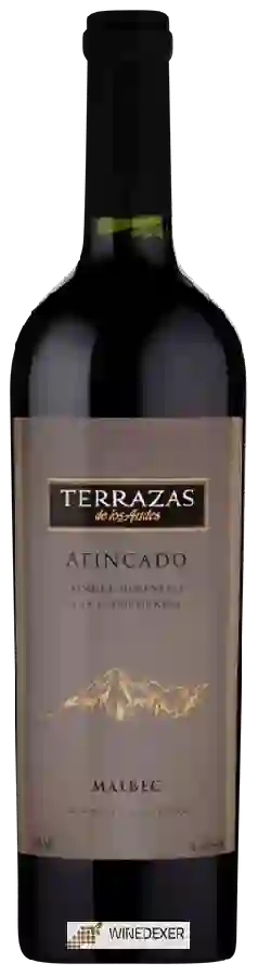 Winery Terrazas de los Andes - Single Vineyard Afincado Malbec