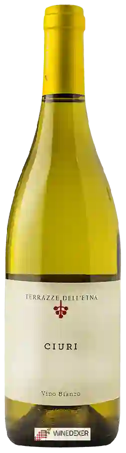 Winery Terrazze dell Etna - Ciuri Bianco Winery Terrazze dell Etna - Ciuri Bianco