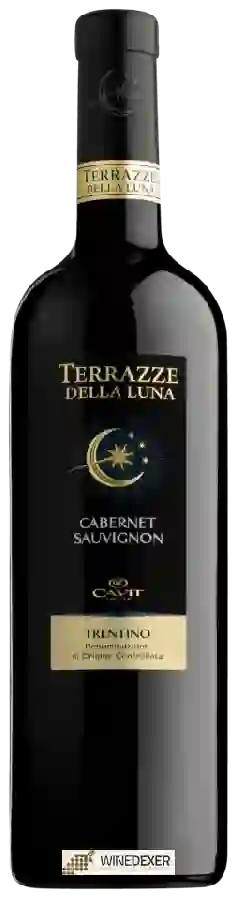 Winery Terrazze della Luna - Cabernet Sauvignon