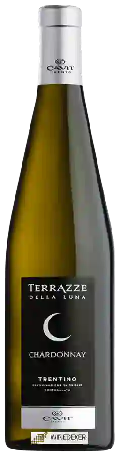 Winery Terrazze della Luna - Chardonnay