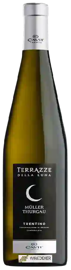 Winery Terrazze della Luna - Müller Thurgau