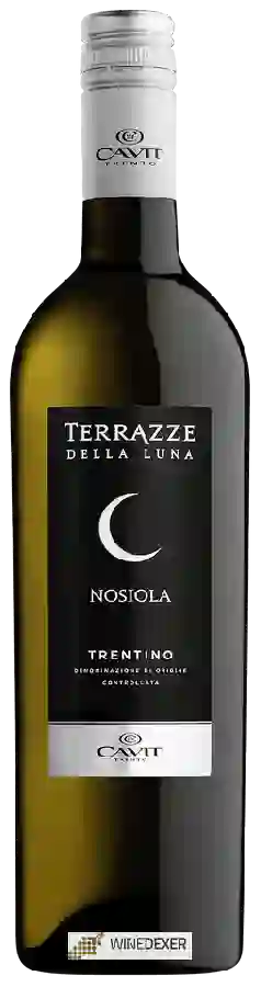 Winery Terrazze della Luna - Nosiola