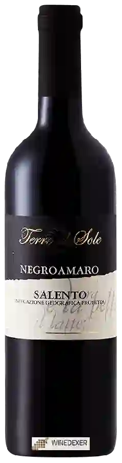Winery Terre al Sole - Negroamaro Salento Winery Terre al Sole - Negroamaro Salento