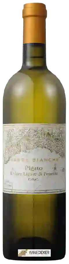 Winery Terre Bianche - Pigato Riviera Ligure di Ponente