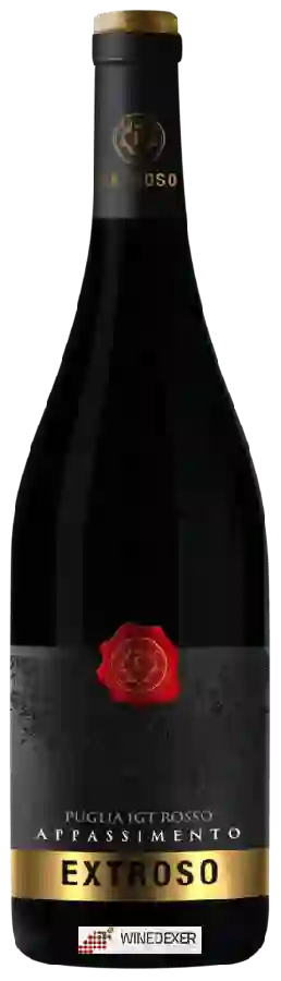 Winery Terre Cevico - Extroso Appassimento Rosso