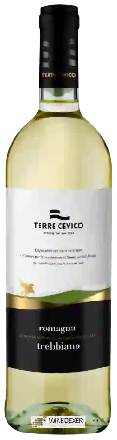 Winery Terre Cevico - Romagna Trebbiano Winery Terre Cevico - Romagna Trebbiano