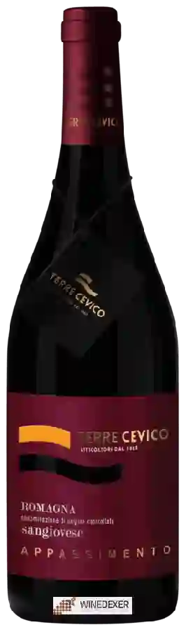 Winery Terre Cevico - Sangiovese Romagna Appassimento Winery Terre Cevico - Sangiovese Romagna Appassimento