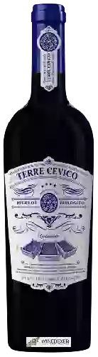 Winery Terre Cevico - Merlot Biologico Appassite